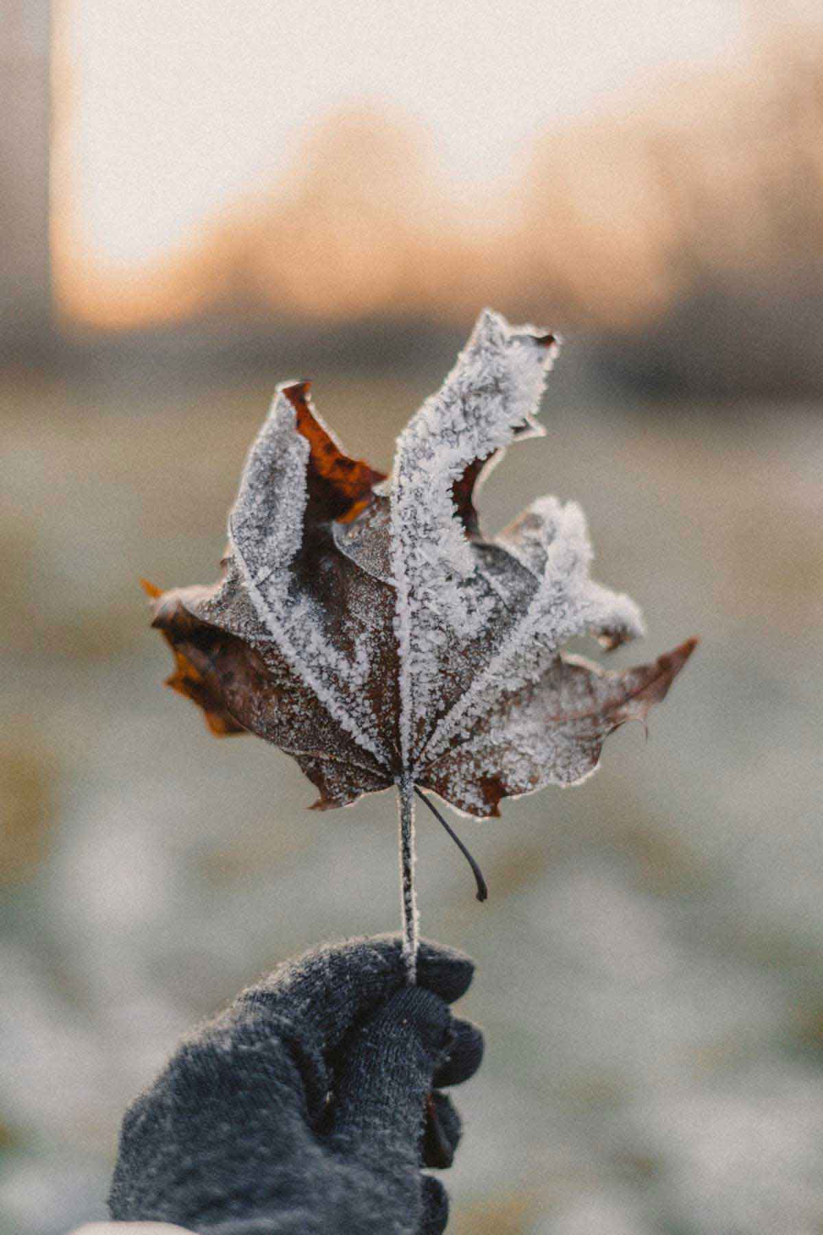 Gear Up for Winter