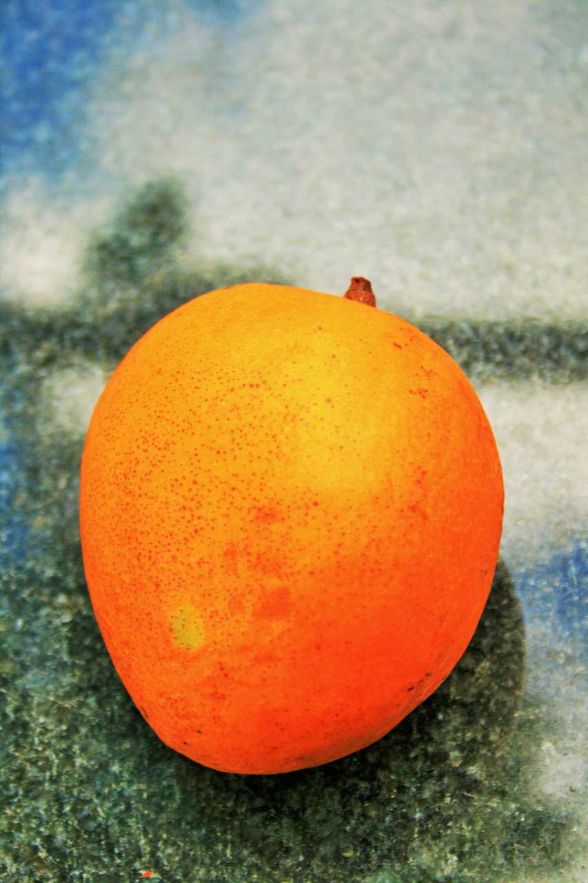 The Anti-Cancerous Properties of Mango