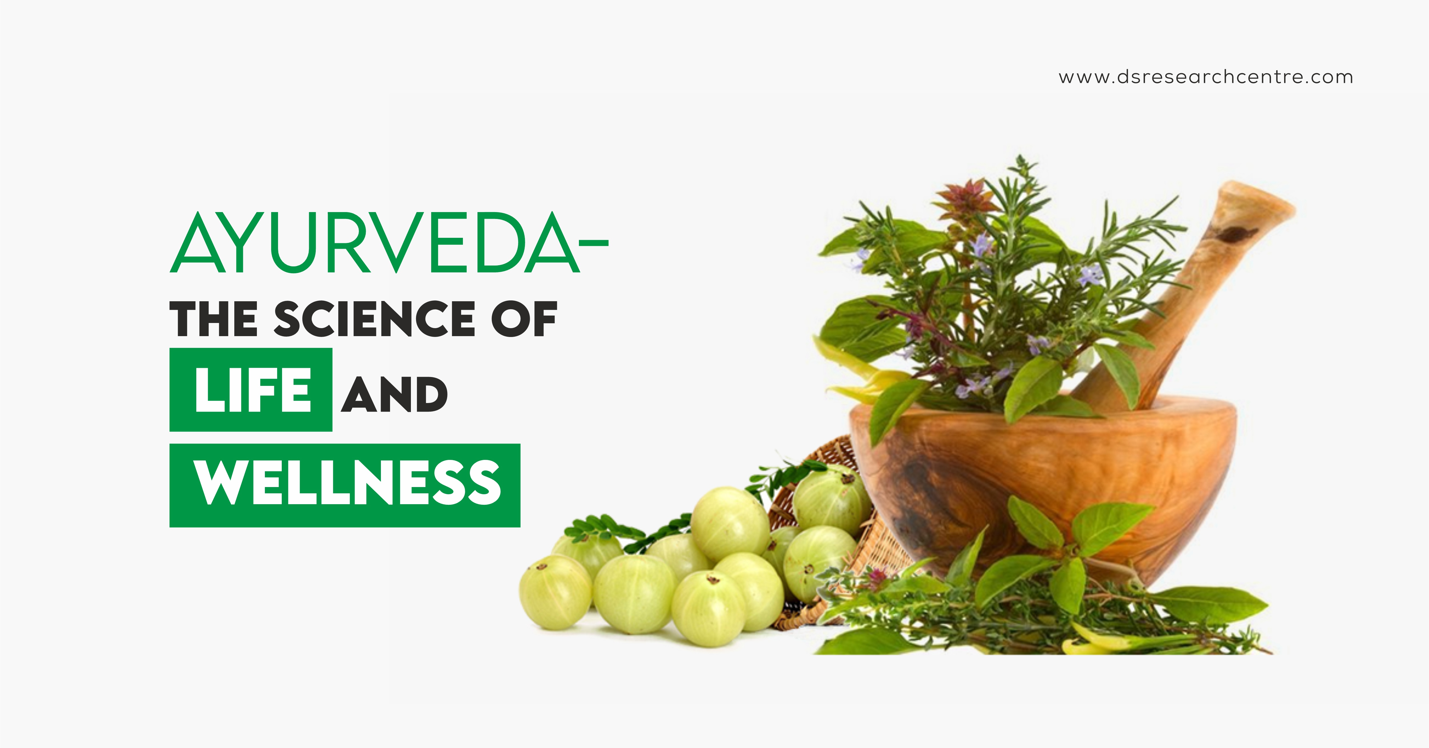 Ayurveda – The Science of Life and Wellness